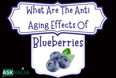 What Are the Anti Aging Effects Of Blueberries