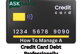 How To Manage A Credit Card Debt Professionally